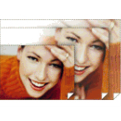 S042092 Epson Premium Glossy Photo Paper 17'' x 22'', 25 She