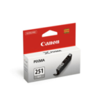 6517B001 Canon CLI251GY Gray Ink